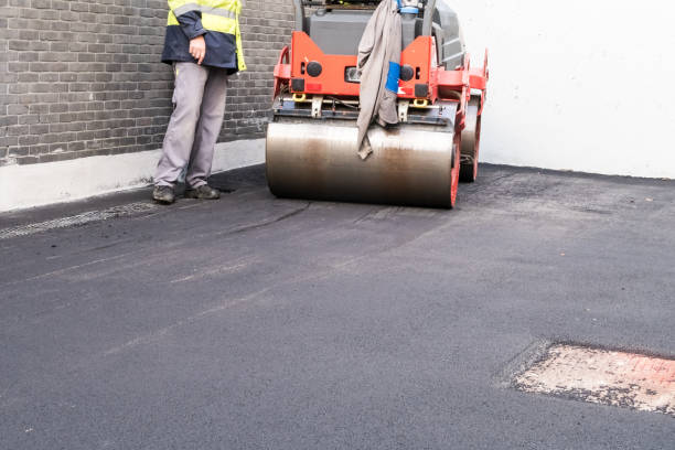 Best Driveway Crack Filling  in Meadow Woods, FL